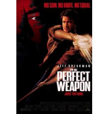 Совершенное оружие (1991)