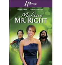 Создать мистера Совершенство (2008)