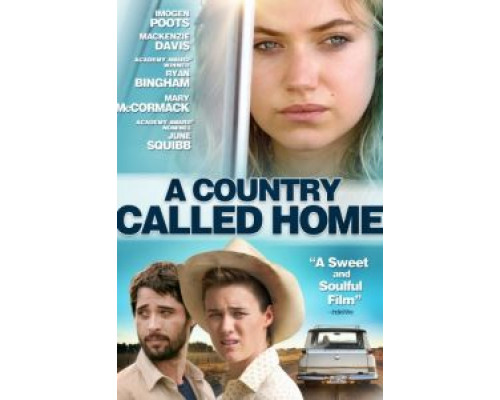Страна под названием Дом  (фильм 2015) смотреть онлайн