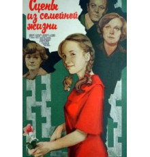 Сцены из семейной жизни (1979)