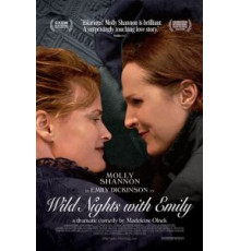 Сумасбродные вечера с Эмили (2018)