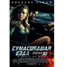 Сумасшедшая езда (2010)