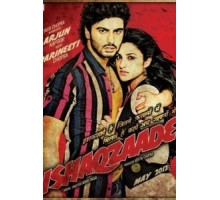 Сумасшедшая любовь (2012)