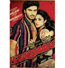 Сумасшедшая любовь (2012)