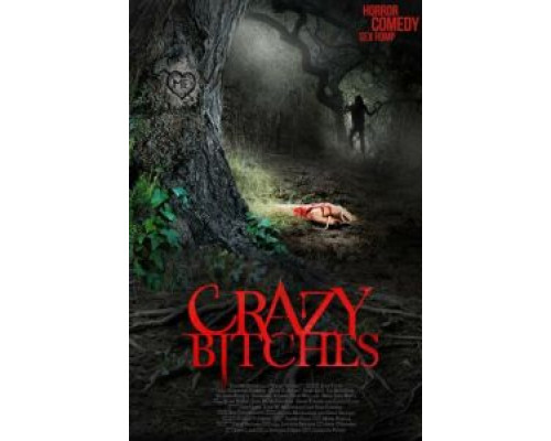 Сумасшедшие суки  (фильм 2014) смотреть онлайн