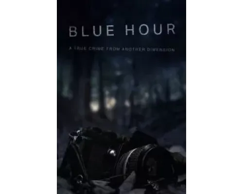 Сумерки: Исчезновение Ника Брандрета  (фильм 2023) смотреть онлайн