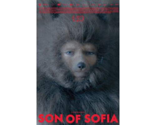 Сын Софии  (фильм 2017) смотреть онлайн