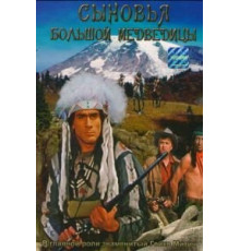 Сыновья Большой Медведицы (1965)