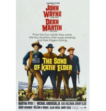 Сыновья Кэти Элдер (1965)