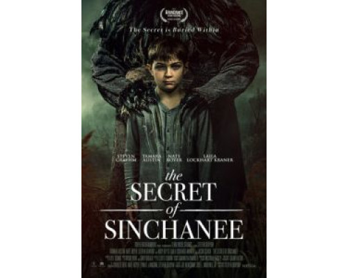 Тайна Синчани  (фильм 2021) смотреть онлайн