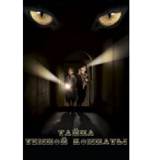 Тайна темной комнаты (2014)