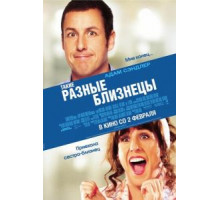 Такие разные близнецы (2011)