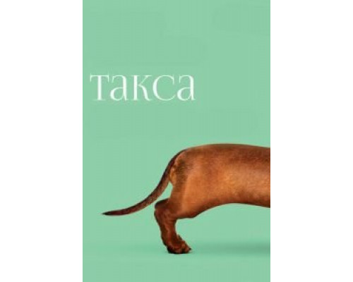 Такса  (фильм 2015) смотреть онлайн