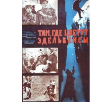 Там, где цветут эдельвейсы (1965)