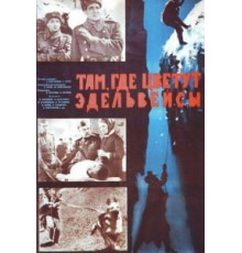 Там, где цветут эдельвейсы (1965)