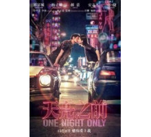 Только одна ночь (2016)