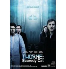 Торн: Пуганая ворона (2010)