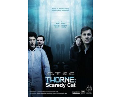 Торн: Пуганая ворона  (фильм 2010) смотреть онлайн