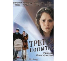 Третья попытка (2013)