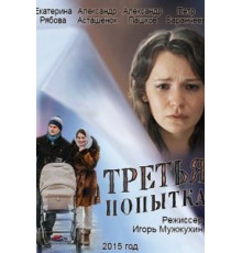 Третья попытка (2013)