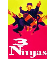 Три ниндзя (1992)