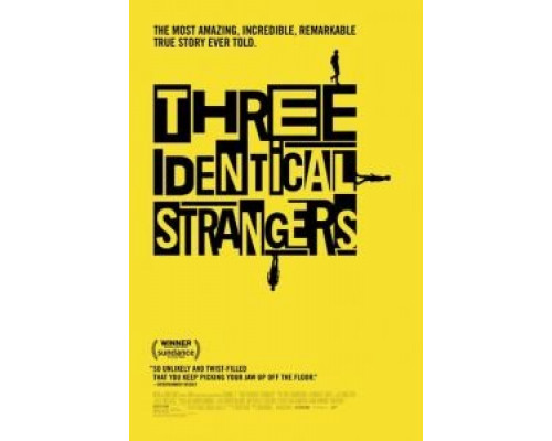 Три одинаковых незнакомца  (фильм 2018) смотреть онлайн