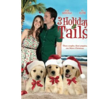 Три рождественские сказки (2011)