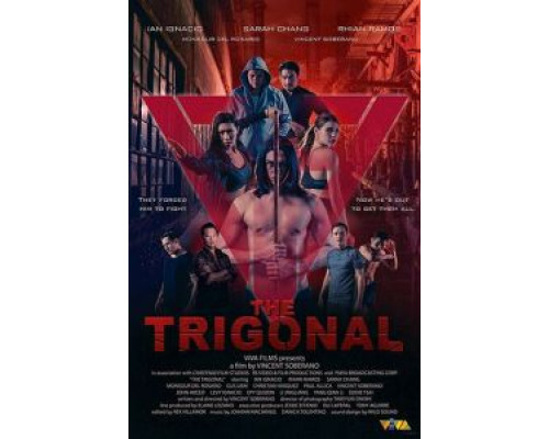 Тригонал: Борьба за справедливость  (фильм 2018) смотреть онлайн