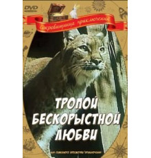 Тропой бескорыстной любви (1971)