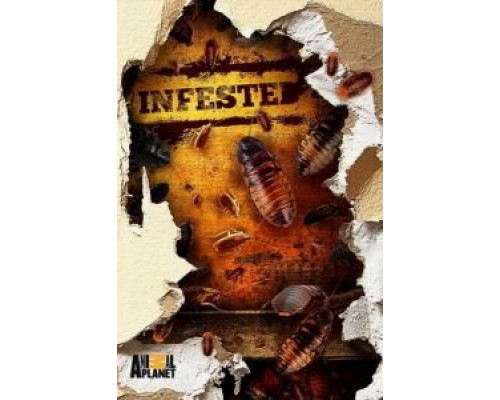 Царство пауков  (фильм 1977) смотреть онлайн