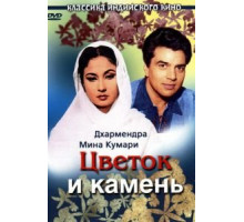 Цветок и камень (1966)