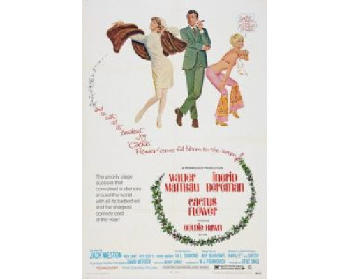Цветок кактуса  (фильм 1969) смотреть онлайн