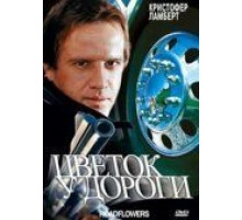 Цветок у дороги (1993)
