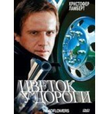 Цветок у дороги (1993)
