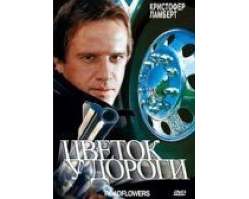 Цветок у дороги  (фильм 1993) смотреть онлайн
