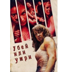 Убей или умри (2013)