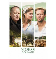 Угоняя лошадей (2019)