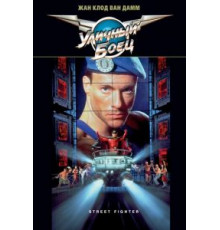 Уличный боец (1994)