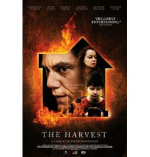 Урожай (2013)