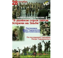 В далёком сорок пятом... Встречи на Эльбе (2015)