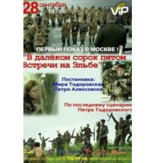 В далёком сорок пятом... Встречи на Эльбе (2015)