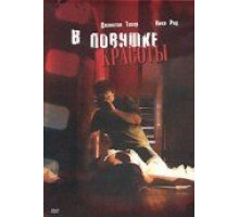 В ловушке красоты (2007)