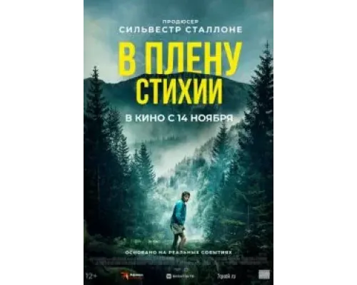 В плену стихии  (фильм 2024) смотреть онлайн