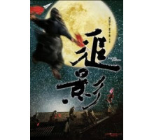 В погоне за тенью (2009)