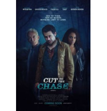 В поисках истины (2016)