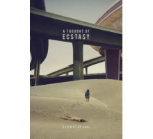 В поисках наслаждения (2017)