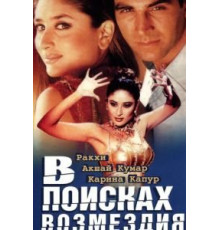 В поисках возмездия (2003)
