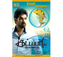 В поисках золотой рыбки (2017)