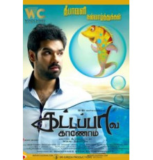 В поисках золотой рыбки (2017)