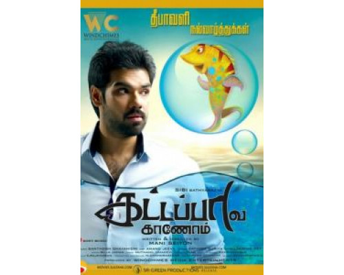 В поисках золотой рыбки  (фильм 2017) смотреть онлайн